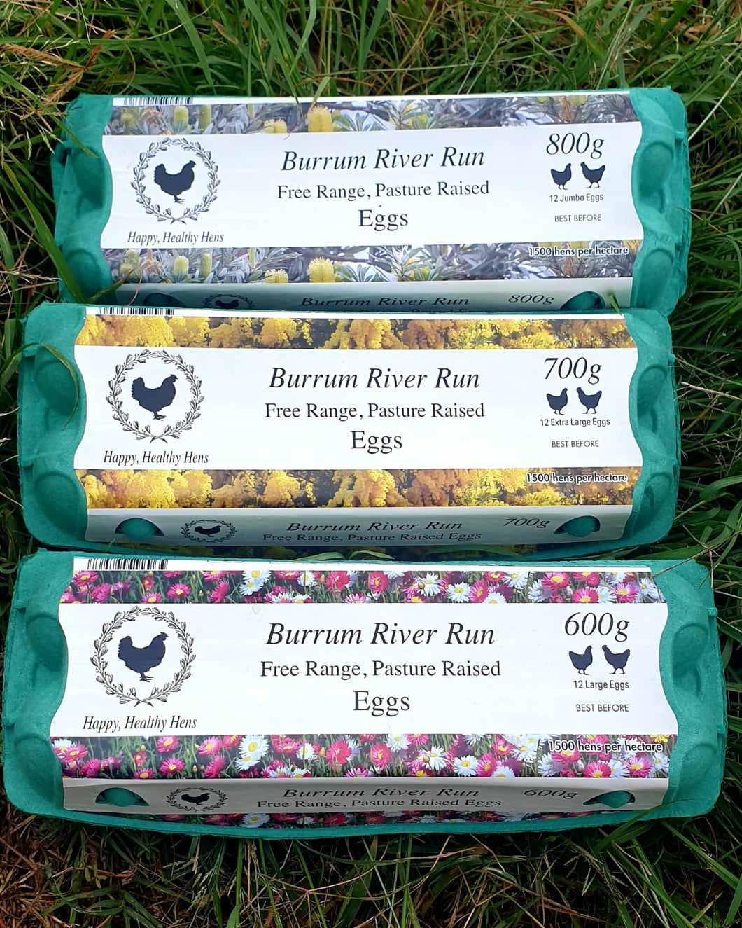 EGGS 600G Large - FREE RANGE (12 eggs)