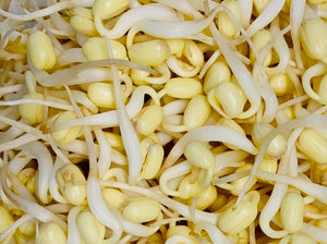 BEANS SPROUTS 250g - ORGANIC (EDEN FARMERS)