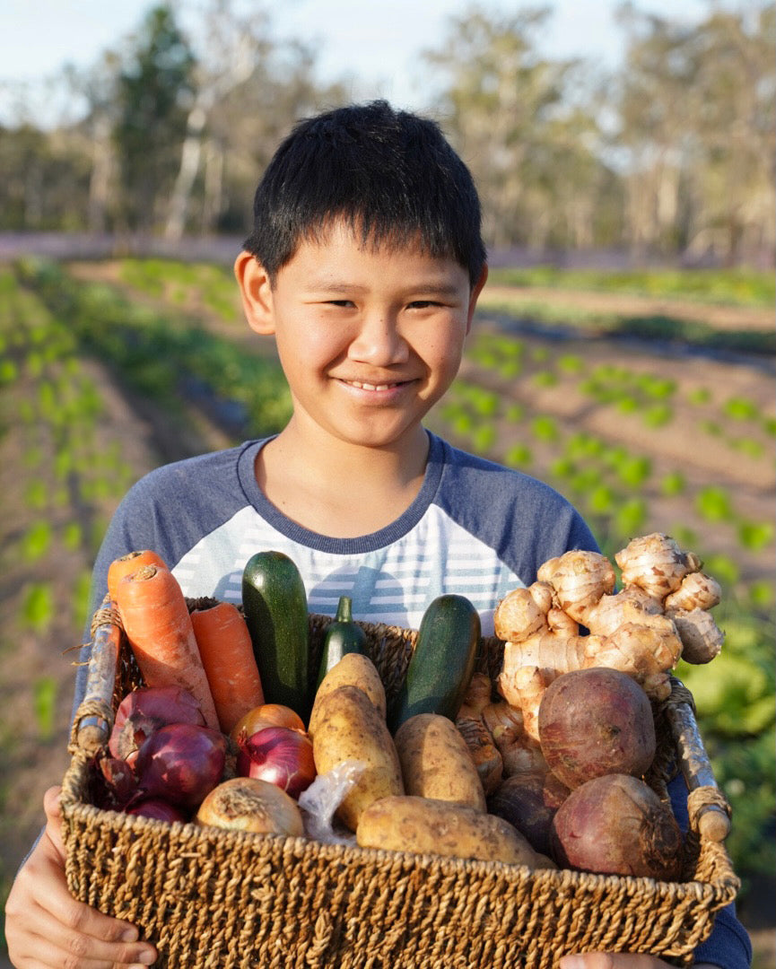 A1 ORGANIC FRUIT & VEG Box $45 - Small