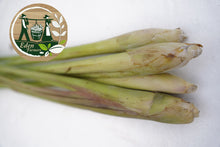 Load image into Gallery viewer, HERBS LEMONGRASS fresh bunch - ORGANIC (EDEN FARMERS)
