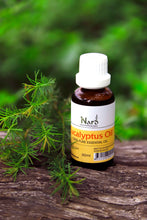 Load image into Gallery viewer, Eucalyptus Oil
