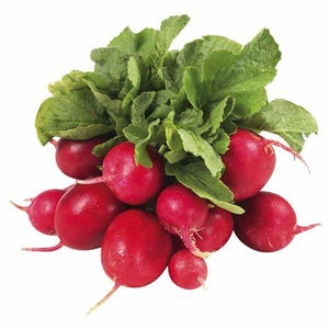 RADISH Cherry - ORGANIC (EDEN FARMERS)