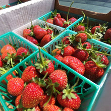 Load image into Gallery viewer, STRAWBERRY *250g - CERTIFIED ORGANIC (ASHBERN FARM)
