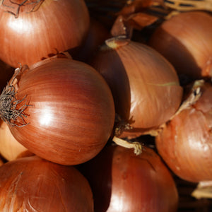 ONION Brown - CERTIFIED ORGANIC