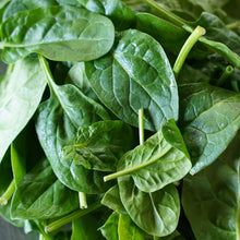 Load image into Gallery viewer, BABY SPINACH *90g - CERTIFIED ORGANIC
