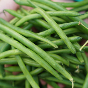 BEANS Green *200g - CERTIFIED ORGANIC