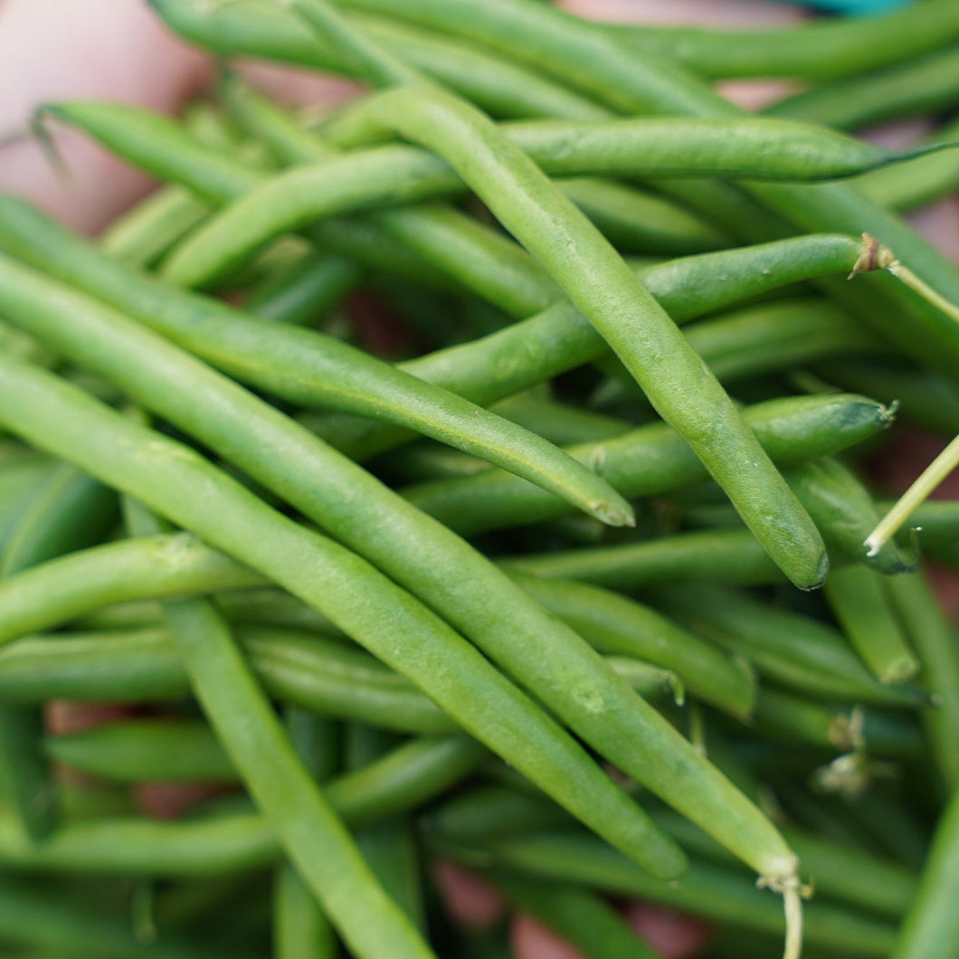 BEANS Green *200g - CERTIFIED ORGANIC