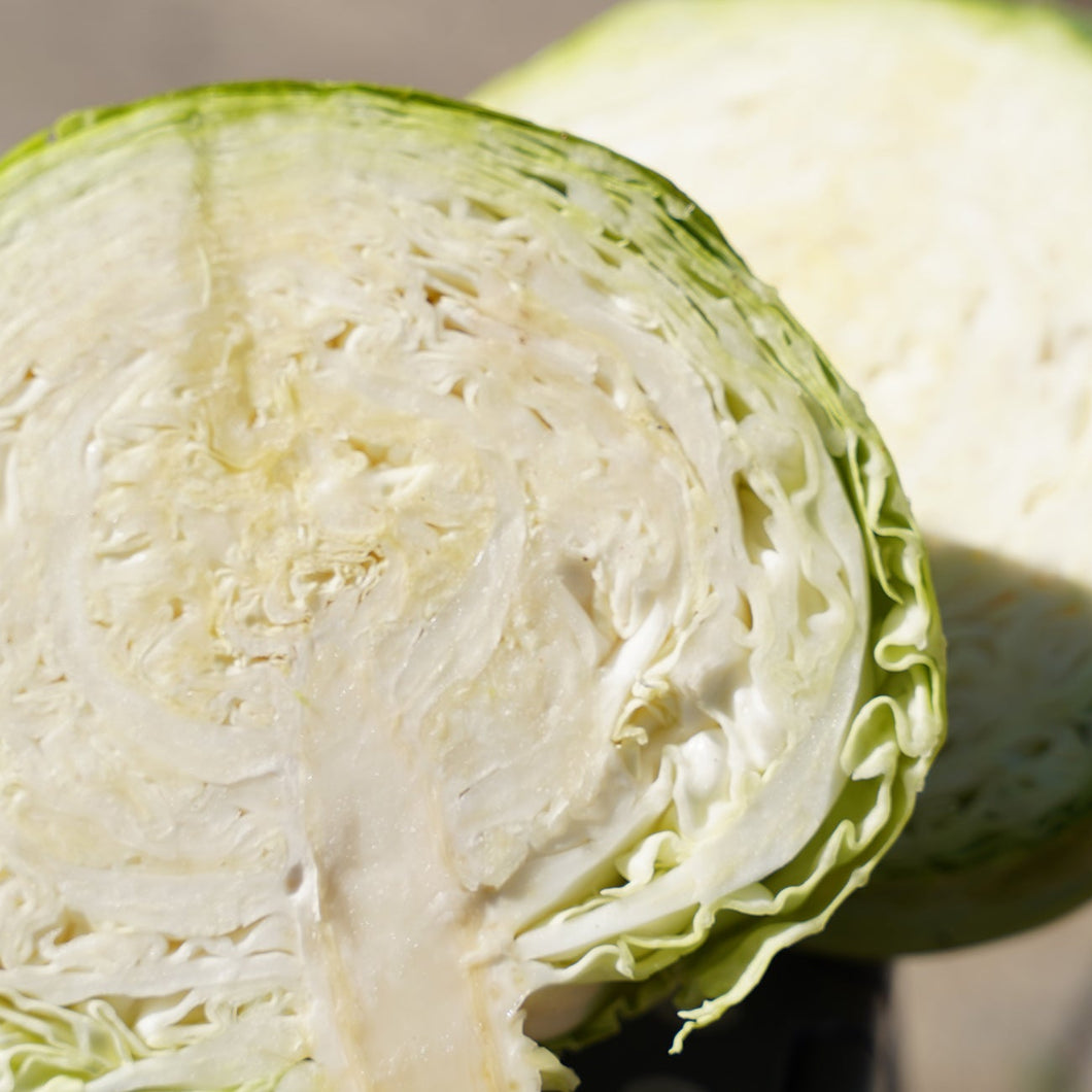 CABBAGE GREEN - CERTIFIED ORGANIC