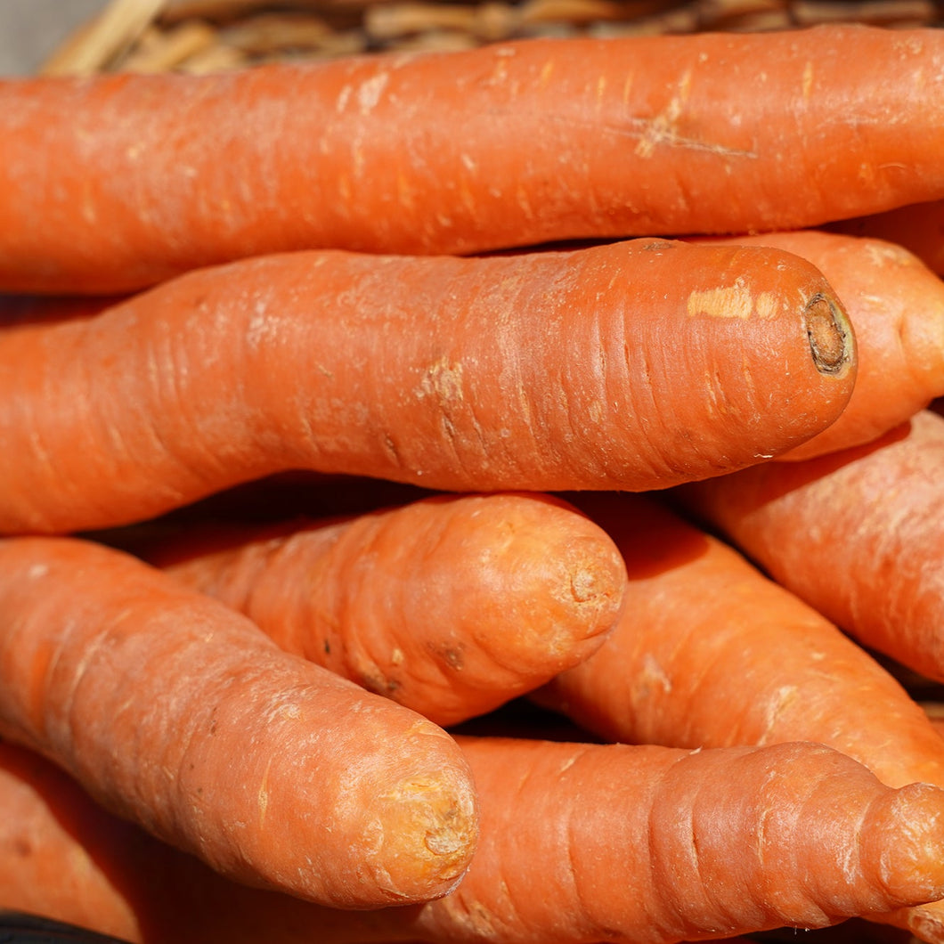 CARROT Juicing *1kg - CERTIFIED ORGANIC