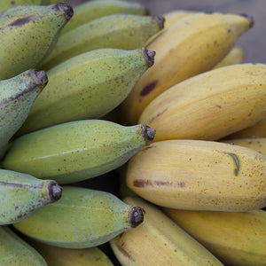 BANANA SUGAR BABY *1kg - ORGANIC (EDEN FARMERS)