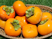 Load image into Gallery viewer, PERSIMMON *Soft - CERTIFIED ORGANIC (HAPPY FARMERS)
