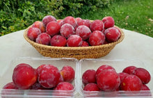 Load image into Gallery viewer, PLUM *Punnet - CERTIFIED ORGANIC (HAPPY FARMERS)
