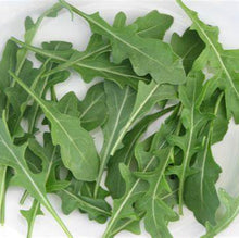Load image into Gallery viewer, BABY ROCKET *bag - ORGANIC (EDEN FARMERS)
