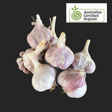 將圖片載入圖庫檢視器 GARLIC AUSSIE Purple NEW *100g - CERTIFIED ORGANIC (HAPPY FARMERS)
