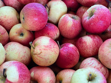 Load image into Gallery viewer, APPLE GALA - CERTIFIED ORGANIC
