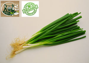 ESHALLOT *bunch - CERTIFIED ORGANIC