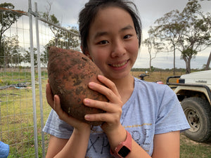 SWEET POTATO GOLDEN *1kg -  CERTIFIED ORGANIC
