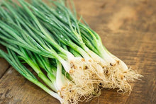 將圖片載入圖庫檢視器 BABY ONION with top *bunch - ORGANIC (EDEN FARMERS)
