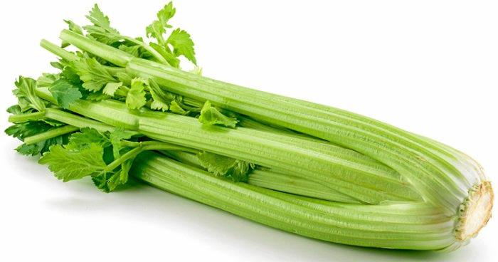 CELERY *bunch - CERTIFIED ORGANIC