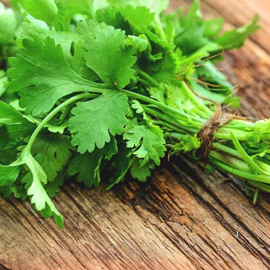 HERBS CORIANDER - ORGANIC (EDEN FARMERS)
