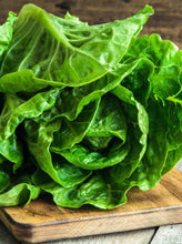 Load image into Gallery viewer, COS LETTUCE *bag - ORGANIC (EDEN FARMERS)
