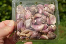 將圖片載入圖庫檢視器 GARLIC AUSSIE Purple NEW *100g - CERTIFIED ORGANIC (HAPPY FARMERS)
