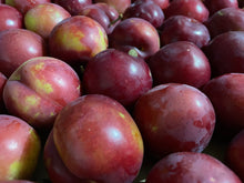 Load image into Gallery viewer, PLUM *Punnet - CERTIFIED ORGANIC (HAPPY FARMERS)
