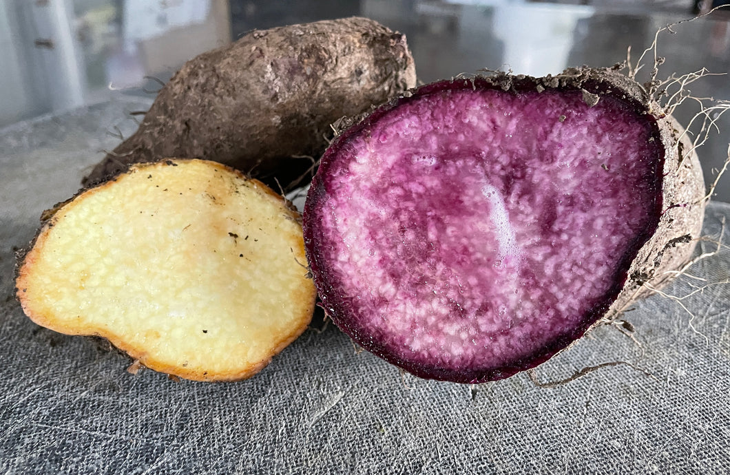 MOUNTAIN YAM 500g - ORGANIC (EDEN FARMERS)