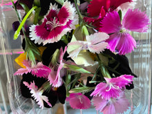 Load image into Gallery viewer, FLOWERS MIXED EDIBLE *1L - ORGANIC (EDEN FARMERS)
