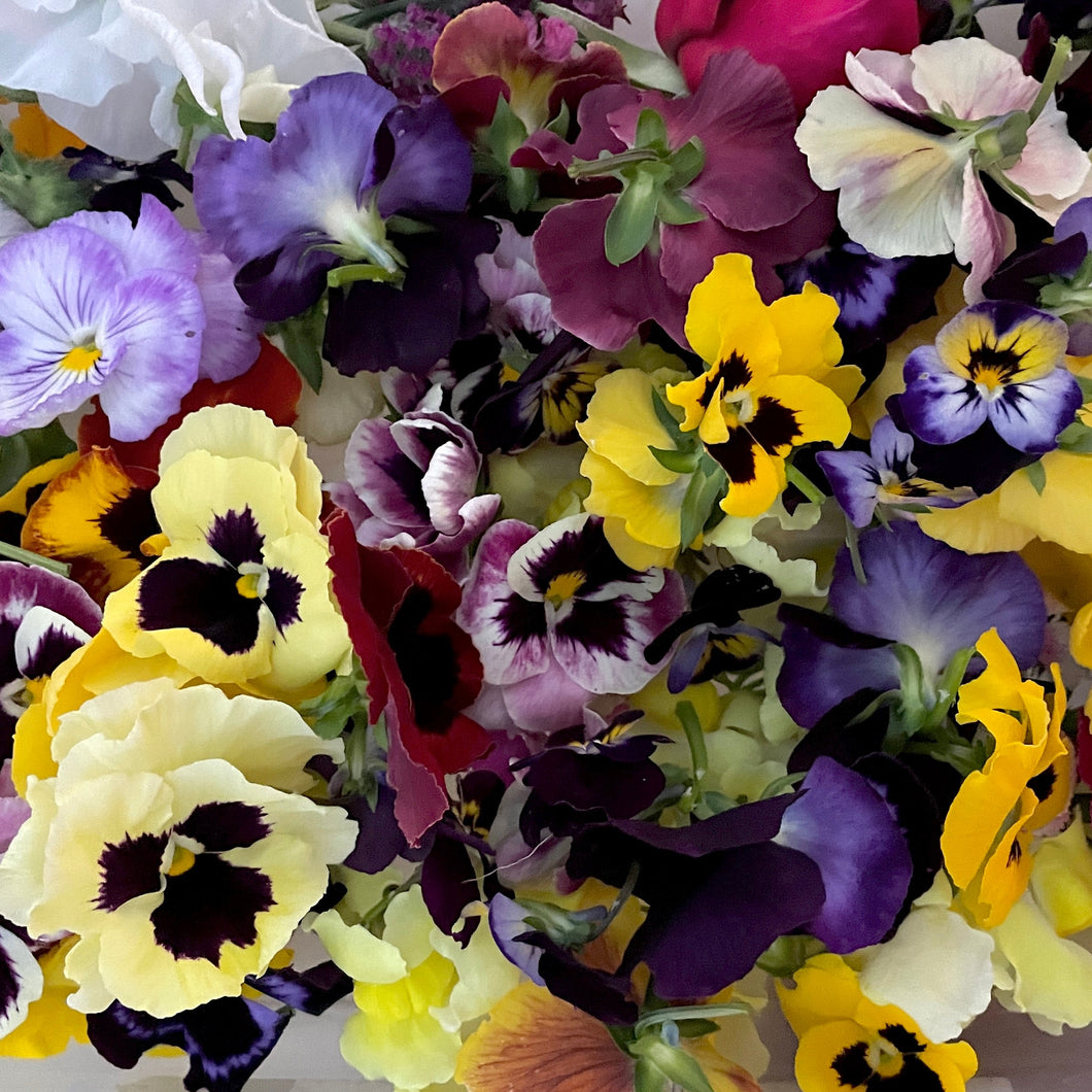 FLOWERS MIXED EDIBLE *1L - ORGANIC (EDEN FARMERS)