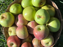 Load image into Gallery viewer, APPLE MIXED *2kg - CERTIFIED ORGANIC

