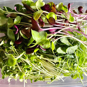 Microgreen MIXED *pun - ORGANIC (EDEN FARMERS)