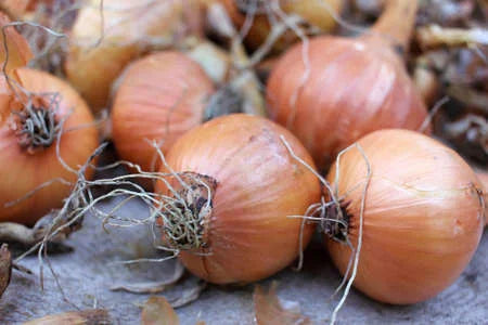 ONION Brown *1KG - ORGANIC (EDEN FARMERS)