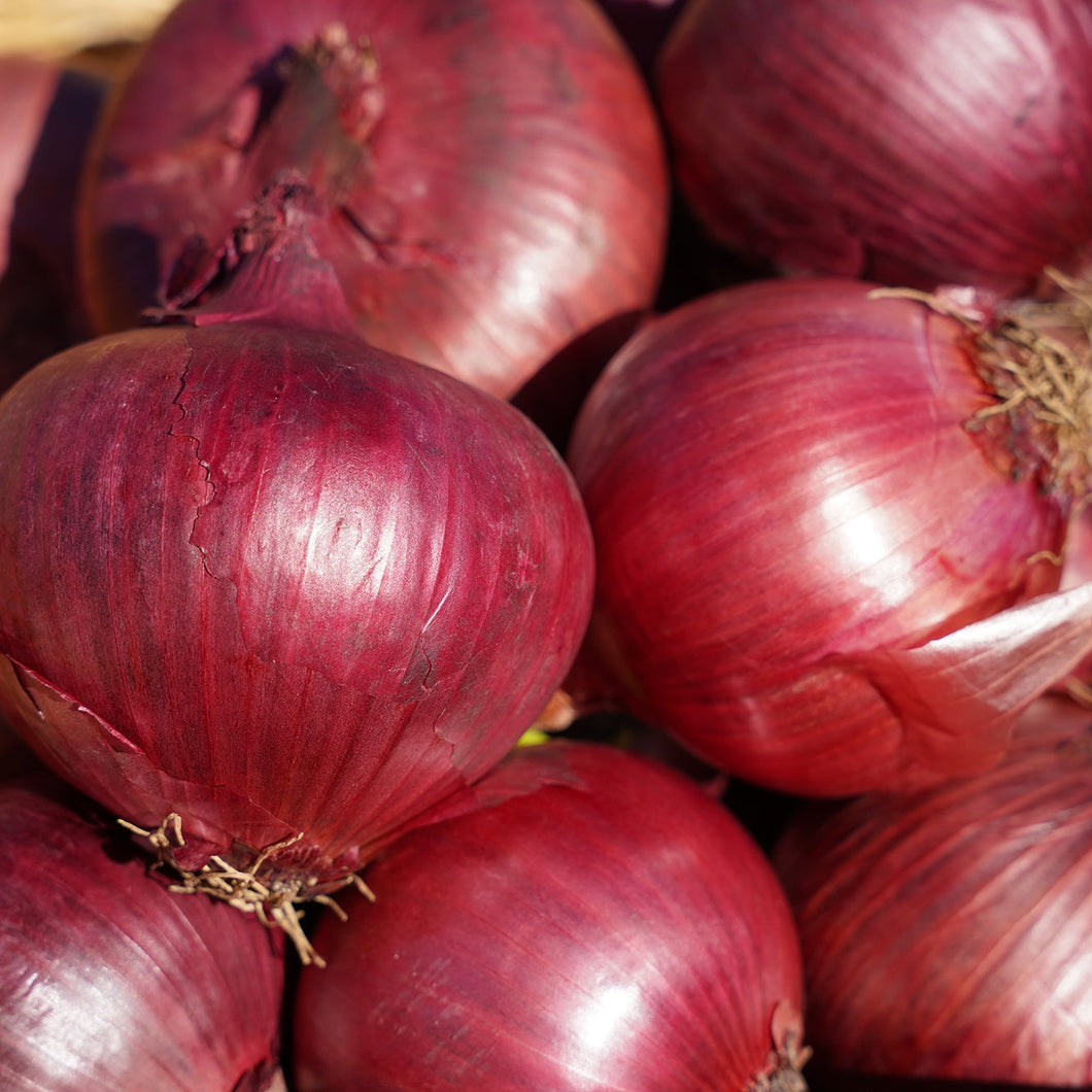 ONION Red QLD *500g - CERTIFIED ORGANIC