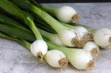 將圖片載入圖庫檢視器 BABY ONION with top *bunch - ORGANIC (EDEN FARMERS)
