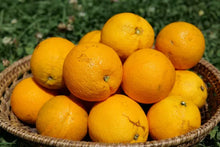 Load image into Gallery viewer, ORANGE JOPPA *1kg - CERTIFIED ORGANIC (BAUPLE PETER)

