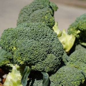 BROCCOLI *500~600g (Approx. 1~2each) - CERTIFIED ORGANIC