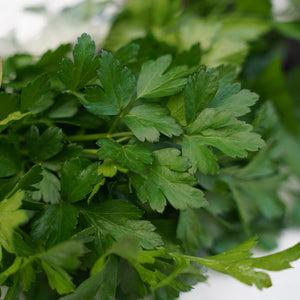 HERBS PARSLEY ITALIAN - ORGANIC (EDEN FARMERS)